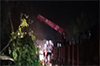 Huge tree falls on road on Maani-Mysuru Highway
